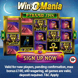 Winomania Casino new banner 250x250 (2)