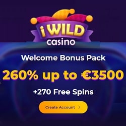 iWild Casino WB banner 250x250