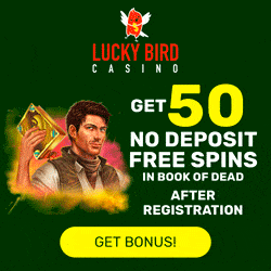 Lucky Bird Casino banner 250x250