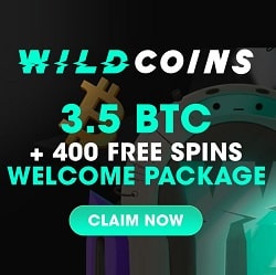 WildCoins Casino bonus banner 250x250