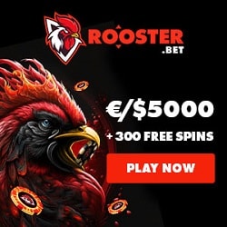 Rooster-Banners 250x250 EN